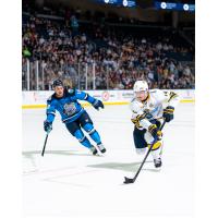 Jacksonville Icemen's Adam McMaster and Atlanta Gladiators' Austin Roest in action
