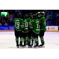 Florida Everblades huddle
