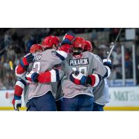 Springfield Thunderbirds celebrate a goal