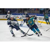 Worcester Railers, as the Monkey Wrenches, forward Anthony Callin (right)