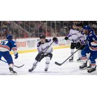 Adirondack Thunder forward Patrick Grasso vs. the Trois-Rivieres Lions
