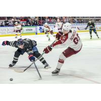 Peterborough Petes left wing Gerry DiCunzolo vs. the Saginaw Spirit