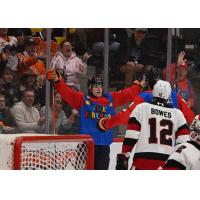 Flint Firebirds on game night