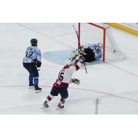 Jacksonville Icemen's Holden Wale and Michael Bullion and South Carolina Stingrays' Josh Wilkins on the ice