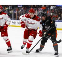 Allen Americans' Danny Katic versus Kansas City Mavericks' Luke Loheit