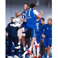 Delaware Blue Coats enjoy a win against the Grand Rapids Gold
