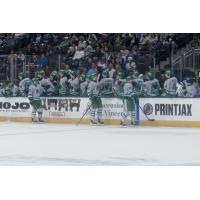 Florida Everblades exchange congratulations along the bench