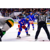 Kitchener Rangers centre Sam O'Reilly vs. the London Knights