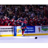 South Carolina Stingrays forward Charlie Combs receives congratulations along the bench