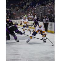 Atlanta Gladiators forward Mickey Burns vs. the Greensboro Gargoyles