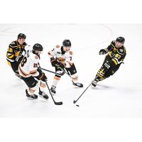 Wheeling Nailers vs. the Fort Wayne Komets