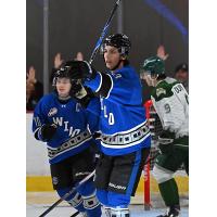 Wenatchee Wild forward Mathias Silaban