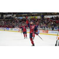 South Carolina Stingrays celebrate a goal