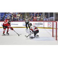 Belleville Senators right wing Xavier Bourgault eyes the goal