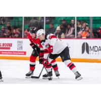 Belleville Senators battle the Utica Comets