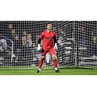 Goalkeeper Mitch Budler with the University of Akron