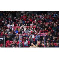 Ottawa Black Bears fans