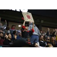 Ottawa Black Bears fans