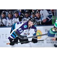 Orlando Solar Bears forward Andrew Bruder