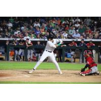 Dayton Dragons catcher Ryan McCrystal