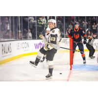 Henderson Silver Knights forward Ben Hemmerling