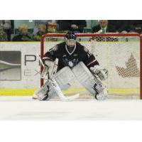 Red Deer Rebels goaltender Darcy Kuemper