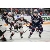 Vancouver Giants defenceman Sam Charko vs. the Tri-City Americans