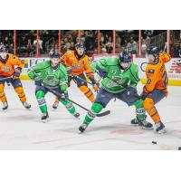 Florida Everblades forwards Craig Needham (right) and Oliver Chau vs. the Greenville Swamp Rabbits