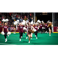 Oshawa FireWolves Fury Dance Team