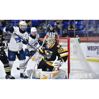 Springfield Thunderbirds pressure the Wilkes-Barre/Scranton Penguins