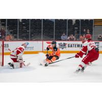 Flint Firebirds left wing Kevin He shoots against the Soo Greyhounds