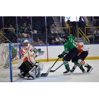 Greenville Swamp Rabbits goaltender Isaiah Saville vs. the Florida Everblades