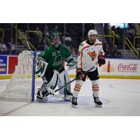 Florida Everblades goaltender Cam Johnson vs. the Greenville Swamp Rabbits