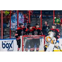 Rapid City Rush gather following a goal