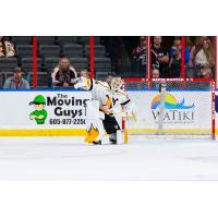 Wheeling Nailers goaltender Taylor Gauthier