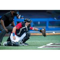 High Point Rockers catcher Luke Napleton