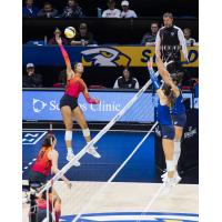 Atlanta Vibe outside hitter Leah Edmond