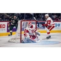 Grand Rapids Griffins goaltender Carter Gylander