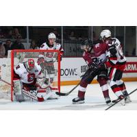 Peterborough Petes right wing Francis Parish looks for a rebound against the Ottawa 67's