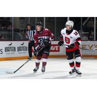 Peterborough Petes centre Adam Levac (left) vs. the Ottawa 67's