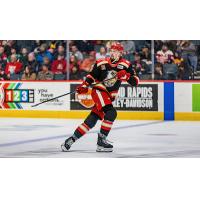 Grand Rapids Griffins defenseman Justin Holl
