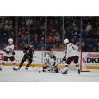 Peterborough Petes goaltender Easton Rye eyes a loose puck vs. the Niagara IceDogs