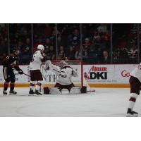 Peterborough Petes goaltender Easton Rye vs. the Niagara IceDogs