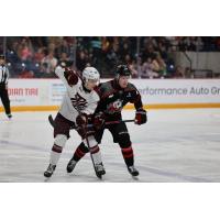 Peterborough Petes left wing Leon Kolarik (left) vs. the Niagara IceDogs