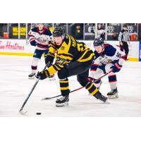 Saginaw Spirit battle the Brantford Bulldogs