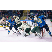 Springfield Thunderbirds forward Aleksanteri Kaskimäki tries to control the puck while Otto Stenberg crashes the net