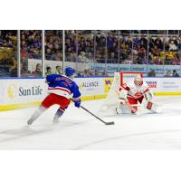 Kitchener Rangers defenceman Carson Campbell eyes the Soo Greyhounds goal