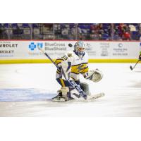 Atlanta Gladiators' T.J. Semptimphelter