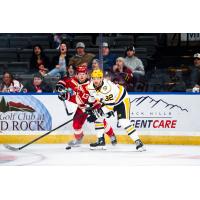 Rapid City Rush's Ryan Wagner and Wheeling Nailers' Tommy Budnick on game night