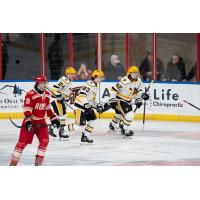 Rapid City Rush's Jake Ratzlaff and Wheeling Nailers' Tristan Thompson, Brayden Edwards, and David Breazeale on the ice